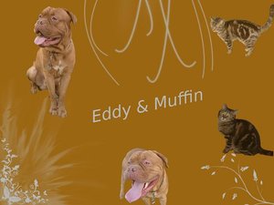Eddy&Muffin.jpg