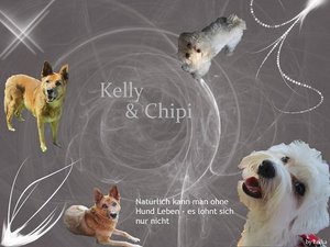 Kelly&Chipi.jpg
