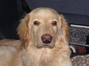 IMG_1152 (Small).jpg