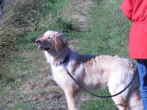 IMG_1176 (Small).jpg