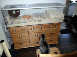 Minchen schaut 10.jpg