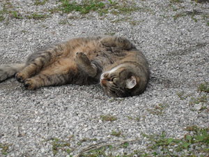 Bilder gemischt 109.JPG