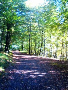 DSC00026....jpg DSC00026....jpg