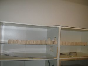 Goldi komplett Etage.jpg