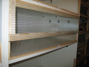 MÃ¤use oben rechts.jpg