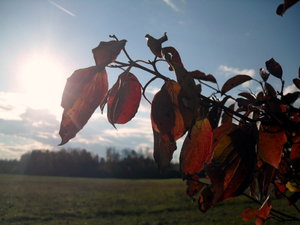 Oktober 2010 049.JPG Oktober 2010 049.JPG