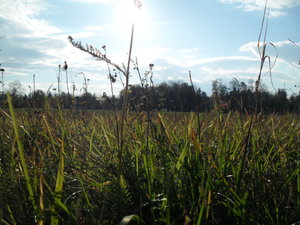 Oktober 2010 040.JPG Oktober 2010 040.JPG