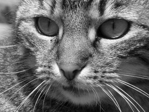 Bilder Dorothee 064.JPG