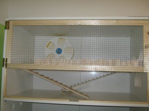 Goldi links komplett.jpg