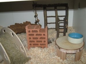 MÃ¤use eingerichtet rechts.jpg