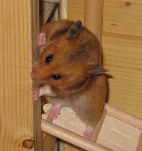 abby ob das schmeckt.JPG