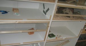 MÃ¤use komplett.jpg