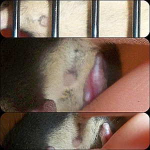 101_8903.JPG 101_8903.JPG