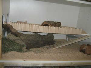 Oben eingerichtet.jpg