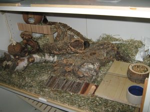 FarbmÃ¤use links momentan 2.jpg