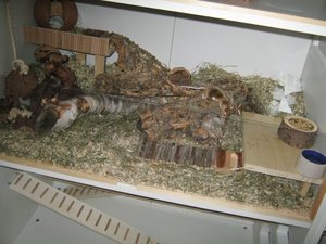 FarbmÃ¤use links momentan.jpg