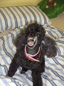 k-Finepix J50 004.jpg