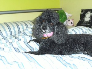 k-Finepix J50 008.jpg