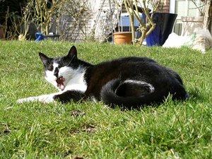 k-Finepix J50 099.jpg