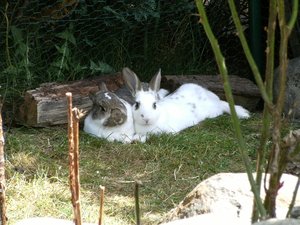 k-Finepix J50 192.jpg