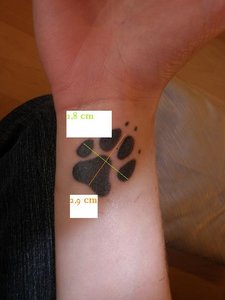 famee tattoo xxx.jpg