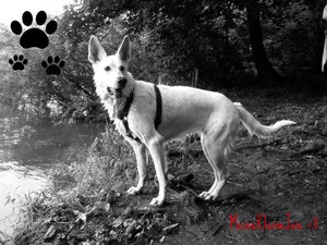 alles&mehr2010 044.jpg