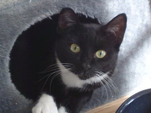 bilder handy 006.JPG