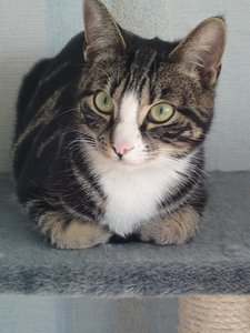 bilder handy 004.JPG