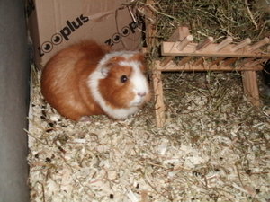 CIMG0116.JPG CIMG0116.JPG