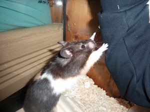 P1040514.JPG P1040514.JPG