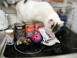 Rundpaket Ausbeute.jpg