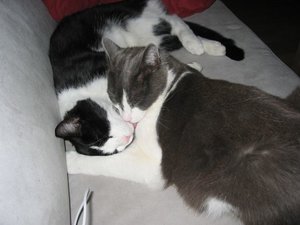 die 2 Banditen 012.jpg