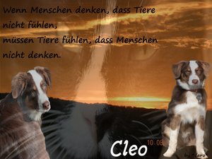 Wallpaper.Cleo.JPG