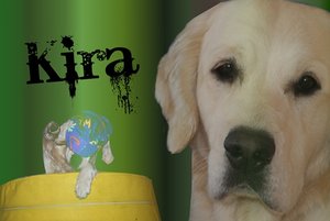 Kira Wallpaper TF.jpg