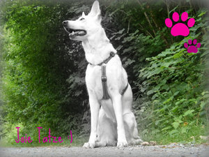 alles&mehr2010 046.jpg