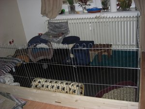 gehege2.JPG gehege2.JPG