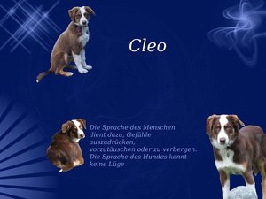 Cleo.jpg