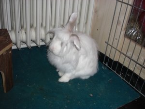 CIMG2940.JPG CIMG2940.JPG