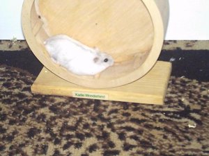 PICT0010.JPG PICT0010.JPG