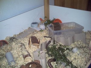 PICT0003 (4).JPG PICT0003 (4).JPG