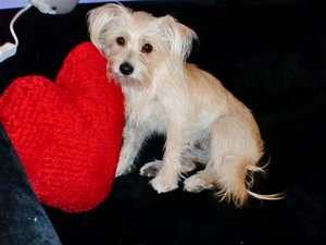 CIMG0688 (Small).JPG