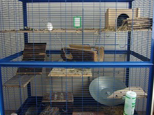 P1010355.jpg P1010355.jpg