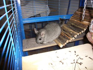 P1010357.jpg P1010357.jpg