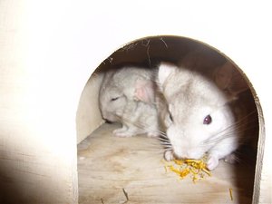 P1010359.jpg P1010359.jpg