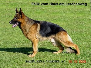 Felix-beschr[1].jpg