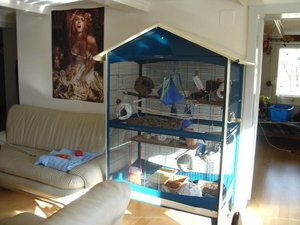 Gothicanas KÃ¤fig.jpg