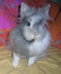 Leo LÃ¶wenherz 1.jpg