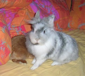 Leo LÃ¶wenherz 2.jpg