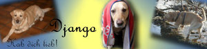 django.jpg