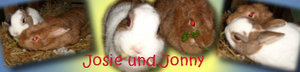 jonny und josie.jpg